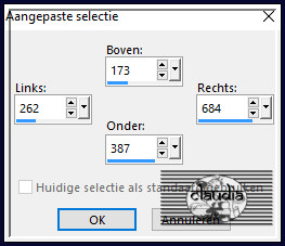 Activeer het Selectiegereedschap (toets S op het toetsenbord) - Aangepaste selectie en voer deze getallen in